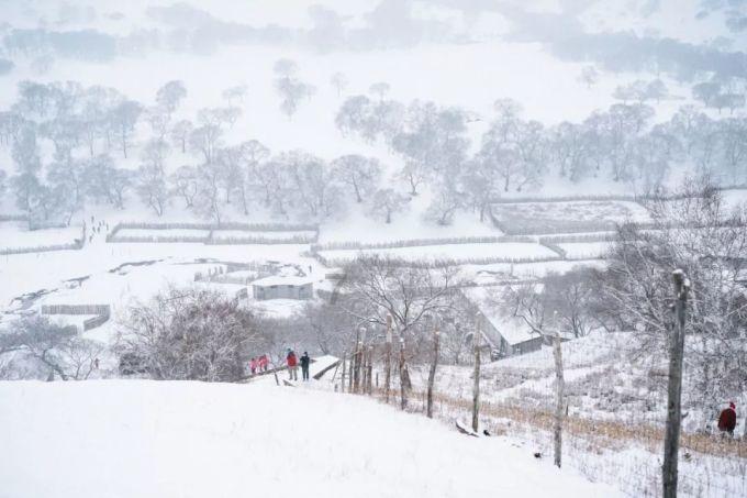 首届松花江滑冰马拉松｜惊了，掌声在哪里？雪地自行车马拉松挑战赛迎来“特别”选手